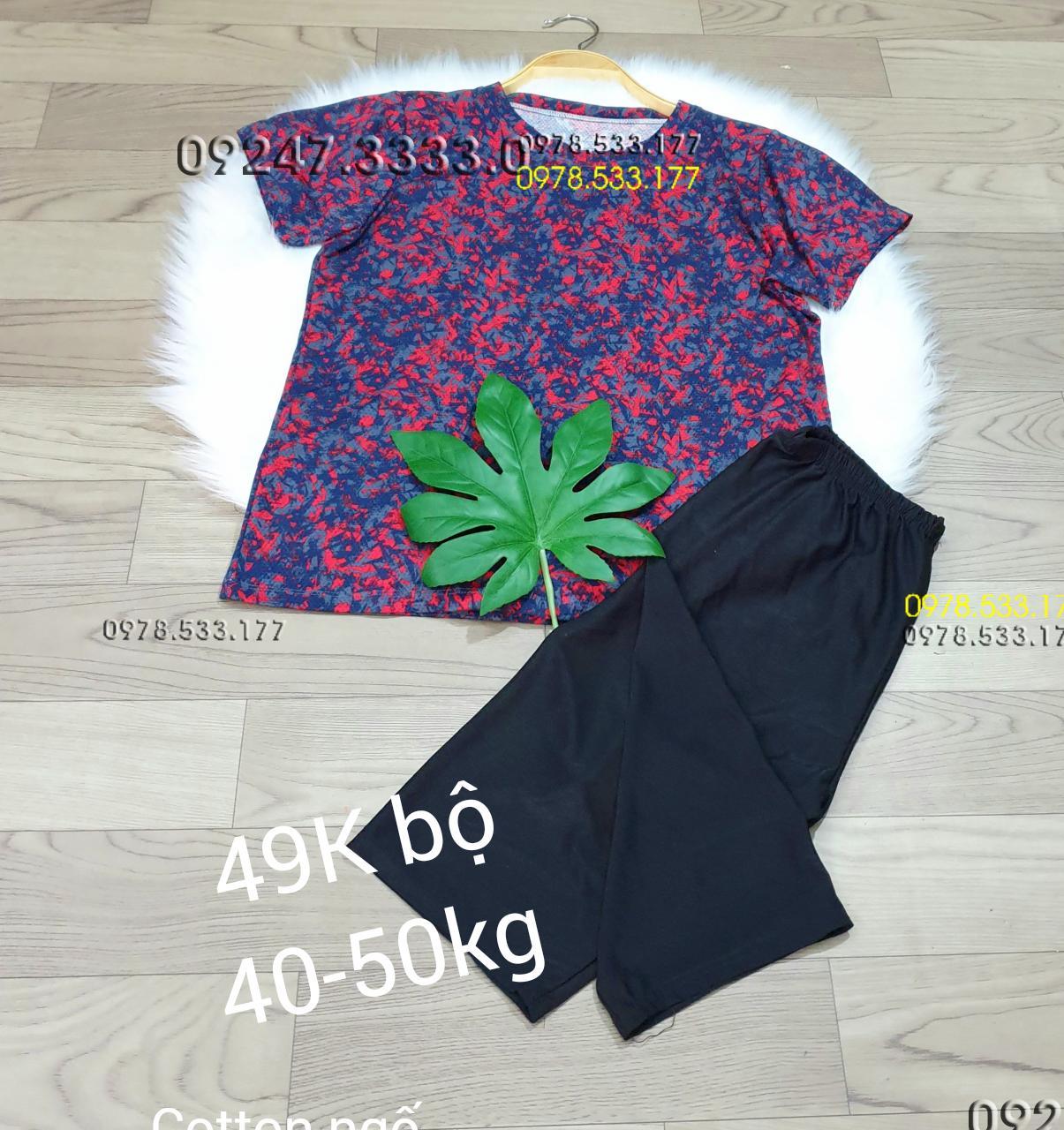  [40-50kg] Bộ mặc nhà Cotton ngố trẻ trung sale rẻ - CO4050X42