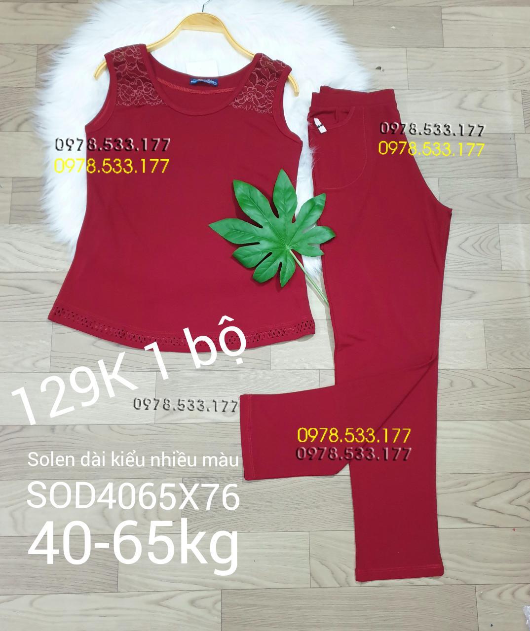 [40-65kg] Sỉ Đồ bộ mặc nhà thun solen phối kiểu đẹp - SOD4065X76