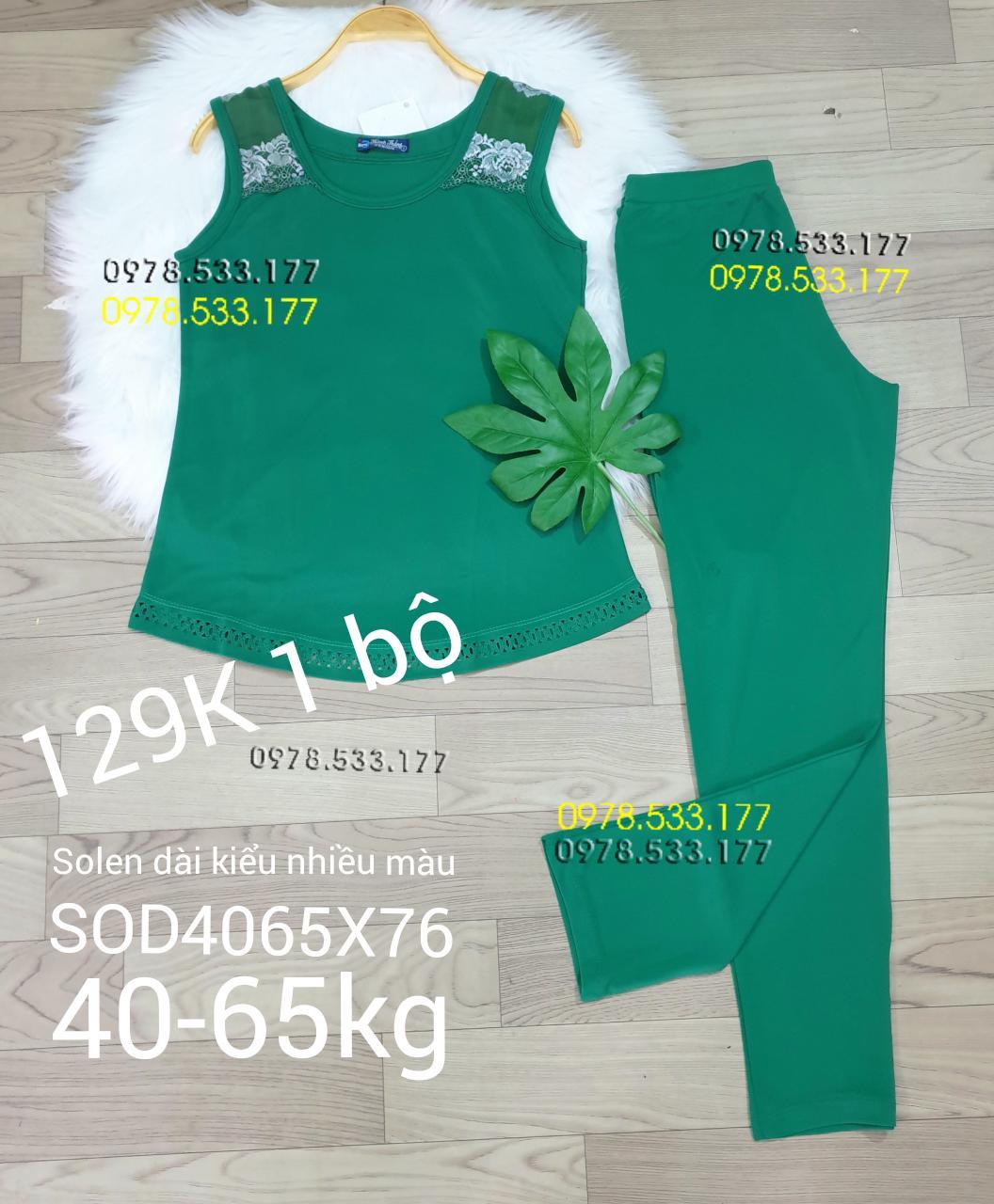 [40-65kg] Sỉ Đồ bộ mặc nhà thun solen phối kiểu đẹp - SOD4065X76