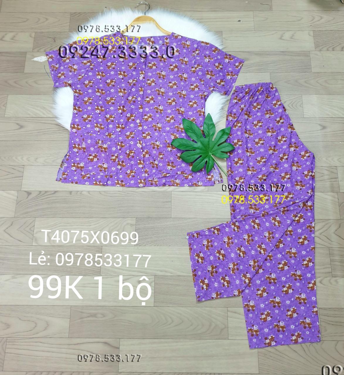 [40-75kg] Đồ bộ quần áo bà già thun lạnh cao cấp - T4075X0699