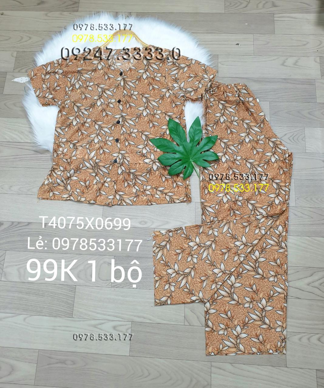 [40-75kg] Đồ bộ quần áo bà già thun lạnh cao cấp - T4075X0699