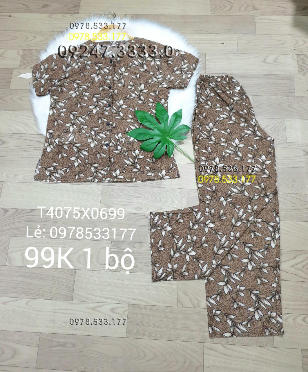 [40-75kg] Đồ bộ quần áo bà già thun lạnh cao cấp - T4075X0699