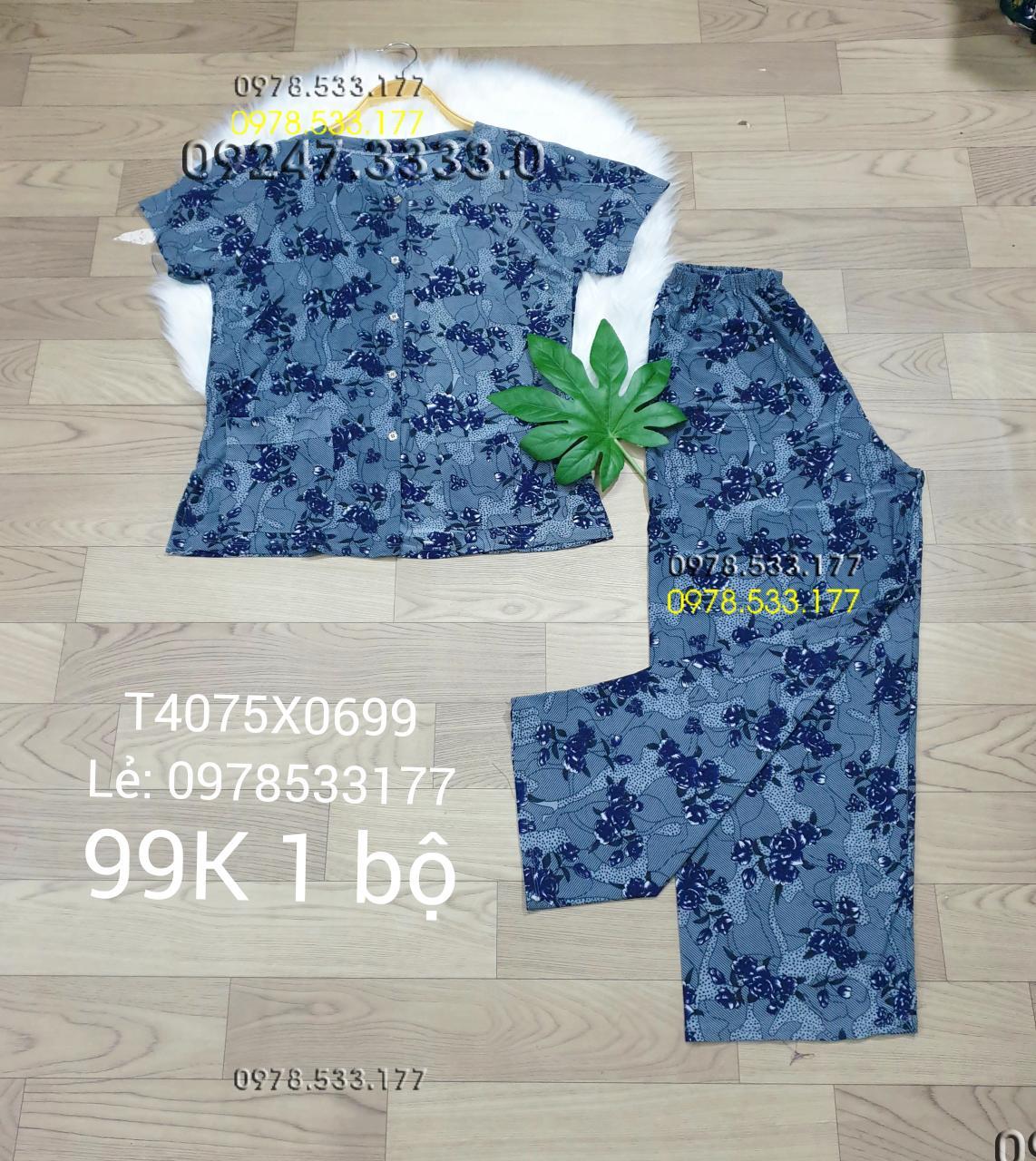 [40-75kg] Đồ bộ quần áo bà già thun lạnh cao cấp - T4075X0699