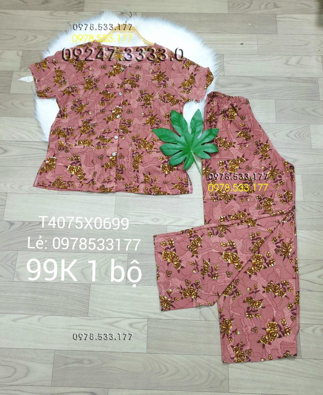 [40-75kg] Đồ bộ quần áo bà già thun lạnh cao cấp - T4075X0699