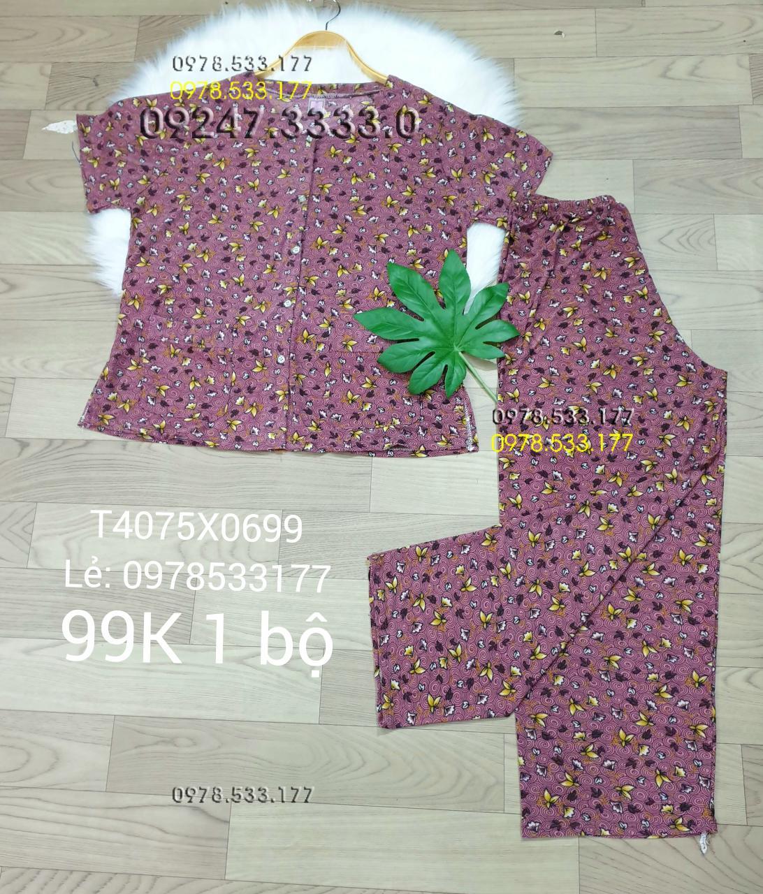 [40-75kg] Đồ bộ quần áo bà già thun lạnh cao cấp - T4075X0699