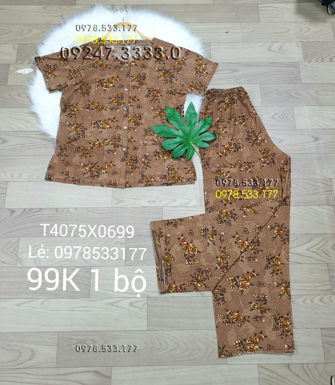 [40-75kg] Đồ bộ quần áo bà già thun lạnh cao cấp - T4075X0699