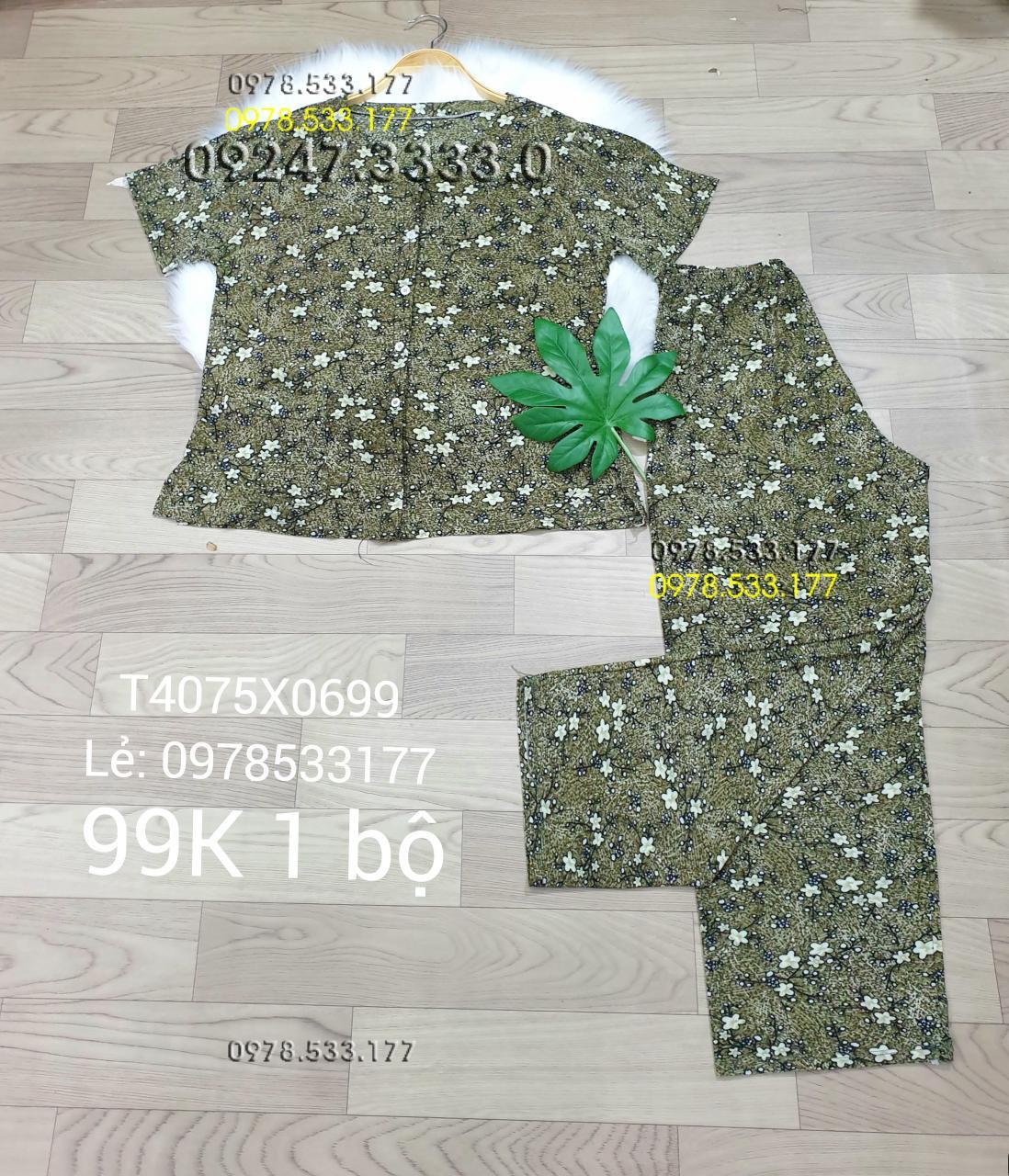 [40-75kg] Đồ bộ quần áo bà già thun lạnh cao cấp - T4075X0699