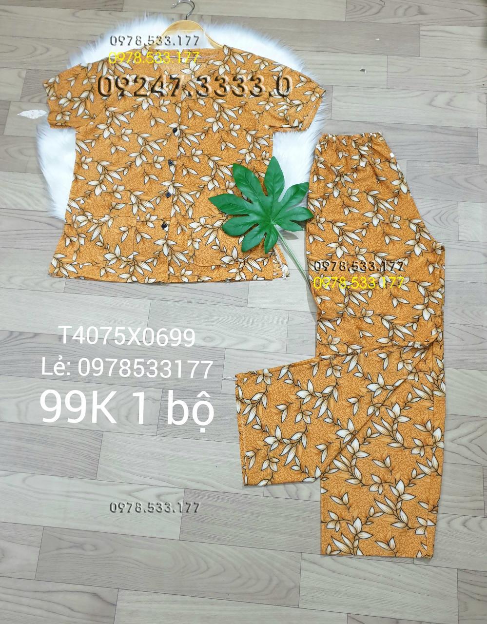 [40-75kg] Đồ bộ quần áo bà già thun lạnh cao cấp - T4075X0699