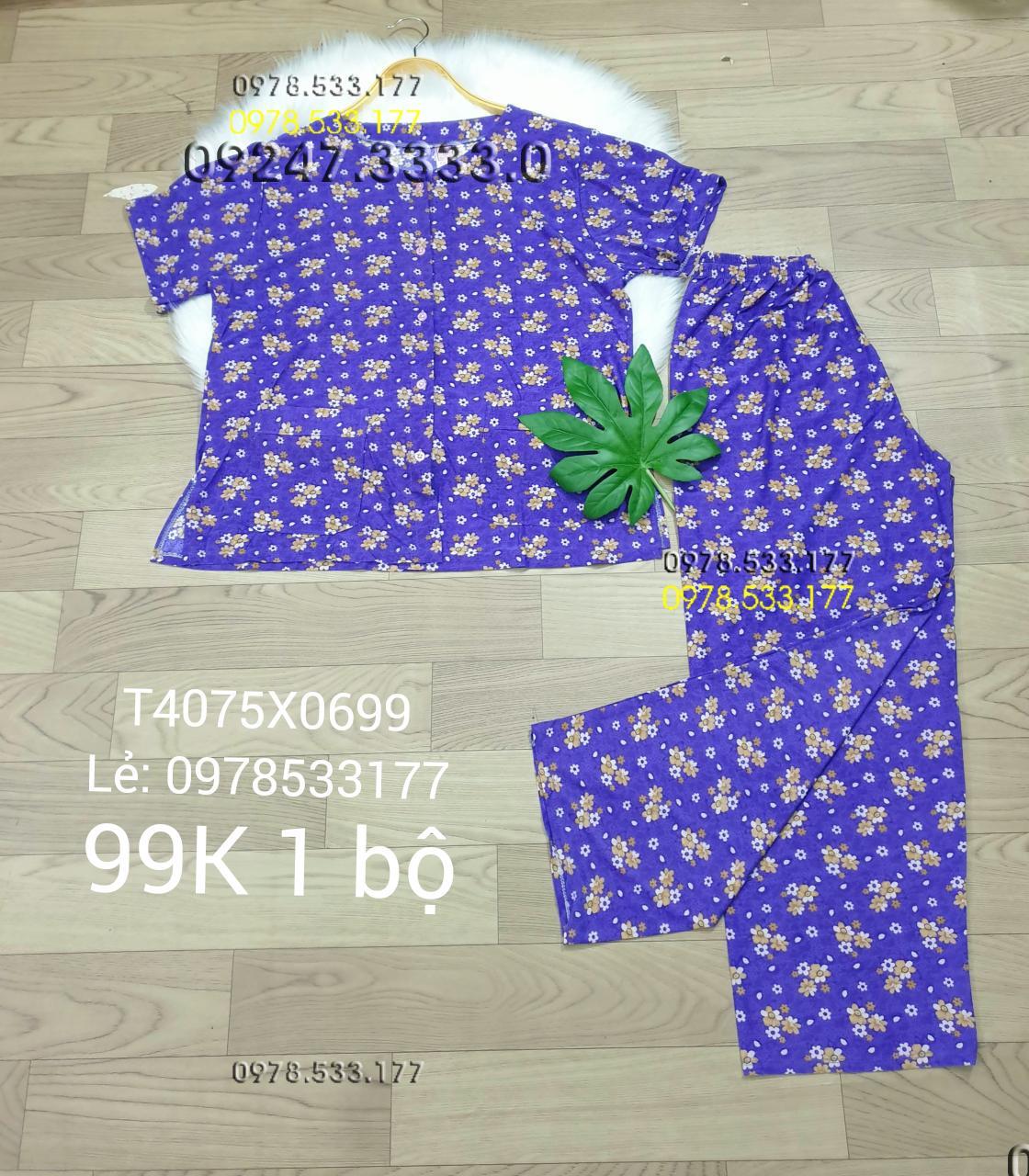 [40-75kg] Đồ bộ quần áo bà già thun lạnh cao cấp - T4075X0699