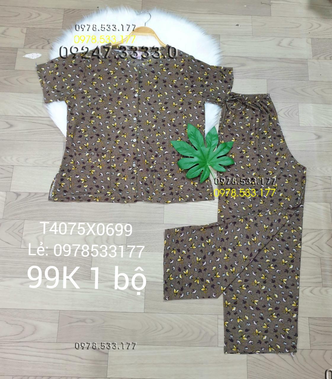 [40-75kg] Đồ bộ quần áo bà già thun lạnh cao cấp - T4075X0699