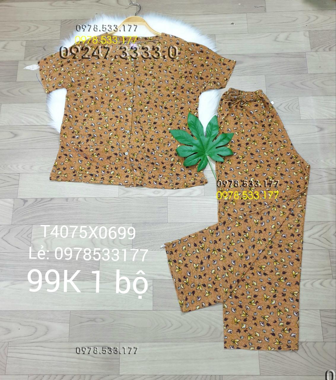 [40-75kg] Đồ bộ quần áo bà già thun lạnh cao cấp - T4075X0699