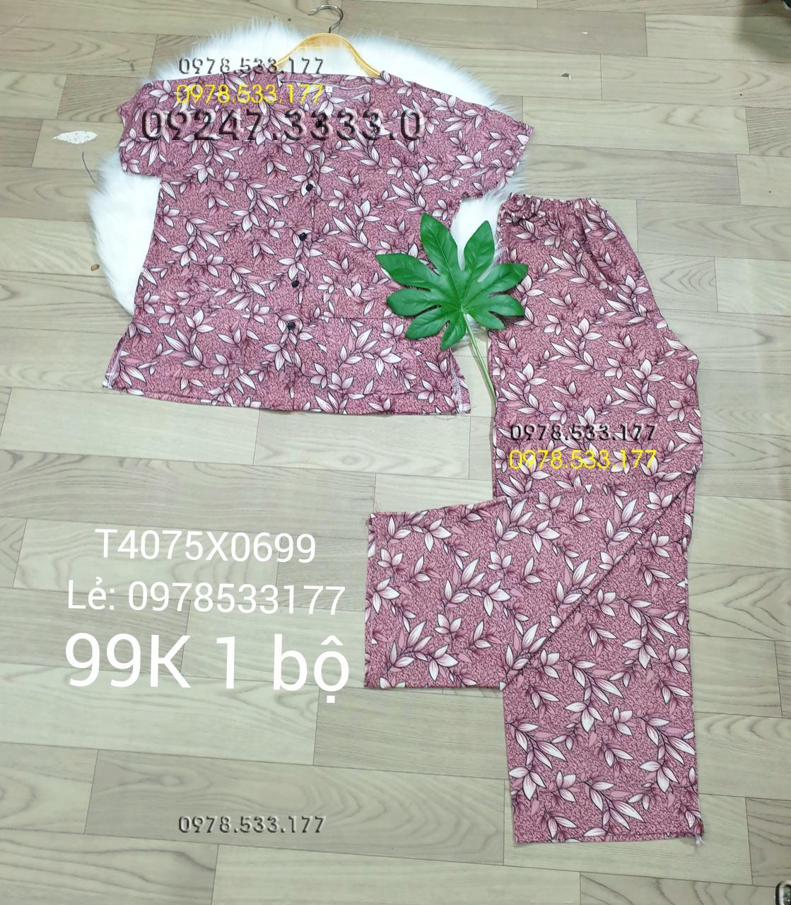 [40-75kg] Đồ bộ quần áo bà già thun lạnh cao cấp - T4075X0699