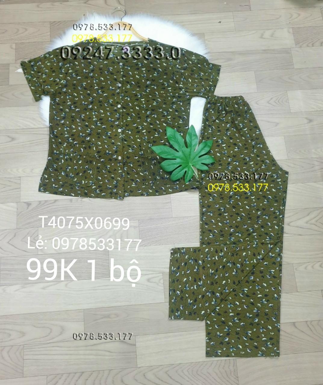 [40-75kg] Đồ bộ quần áo bà già thun lạnh cao cấp - T4075X0699