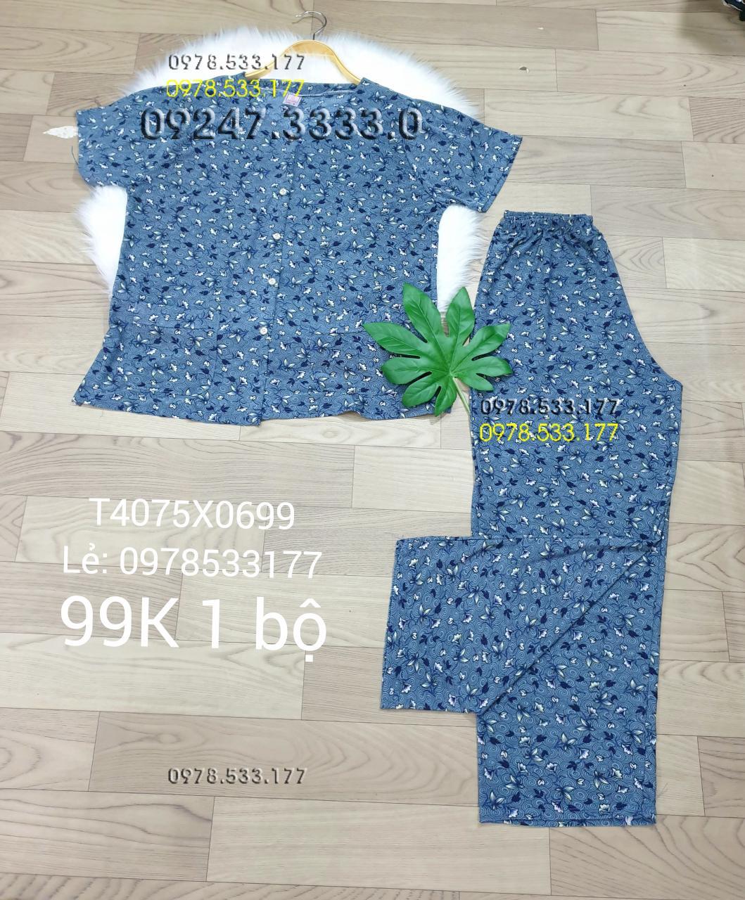 [40-75kg] Đồ bộ quần áo bà già thun lạnh cao cấp - T4075X0699