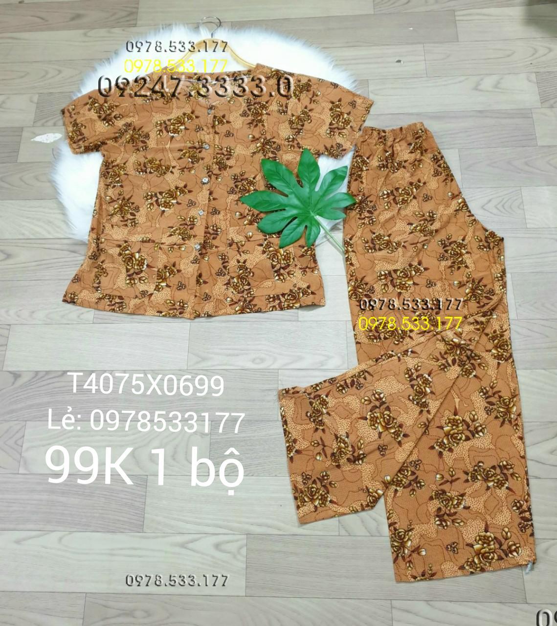 [40-75kg] Đồ bộ quần áo bà già thun lạnh cao cấp - T4075X0699