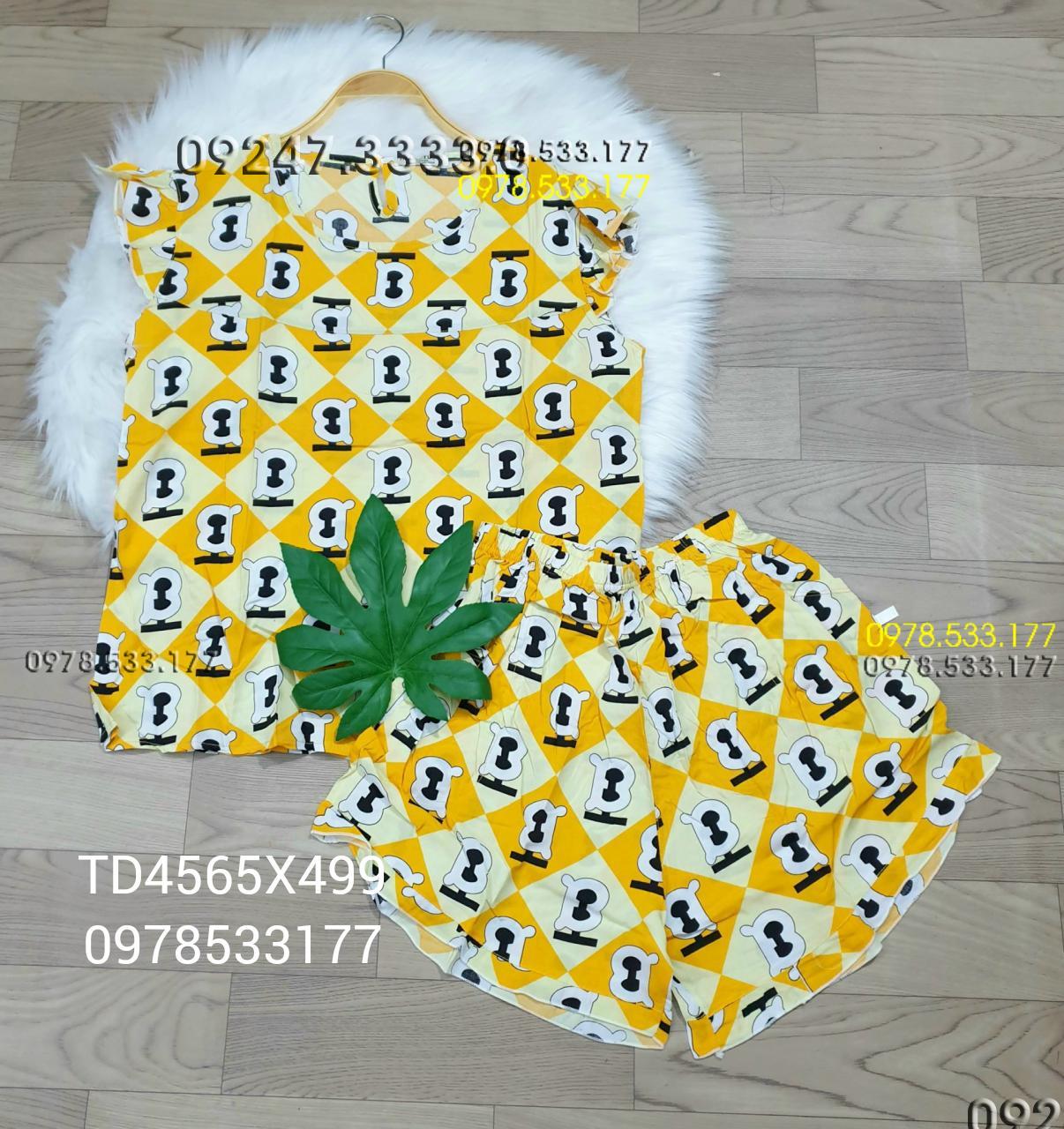 [45-65kg] Đồ bộ mặc nhà Tole đùi trẻ trung - TD4565X499