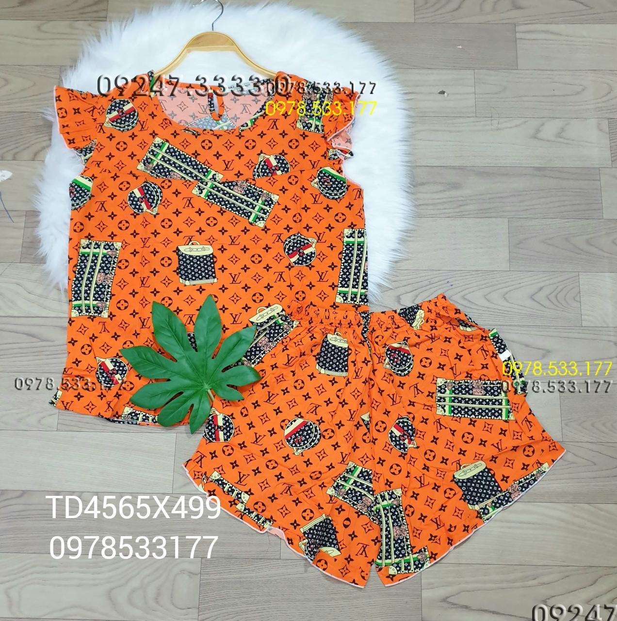 [45-65kg] Đồ bộ mặc nhà Tole đùi trẻ trung - TD4565X499