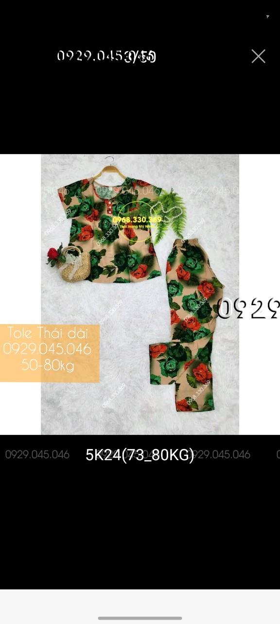 [50-80kg] Đồ bộ trung niên tole thái quần dài cao cấp - PN158482