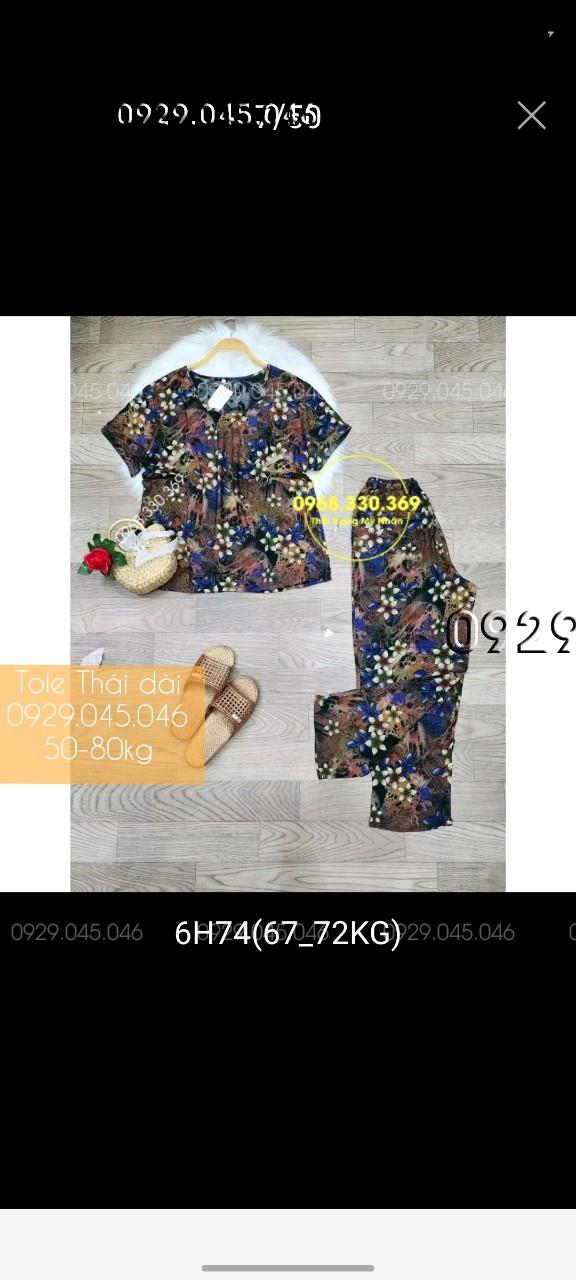 [50-80kg] Đồ bộ trung niên tole thái quần dài cao cấp - PN158482