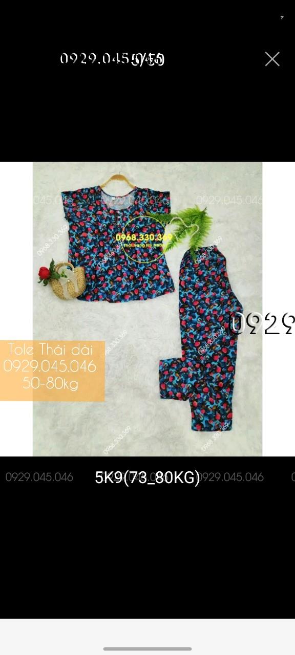 [50-80kg] Đồ bộ trung niên tole thái quần dài cao cấp - PN158482