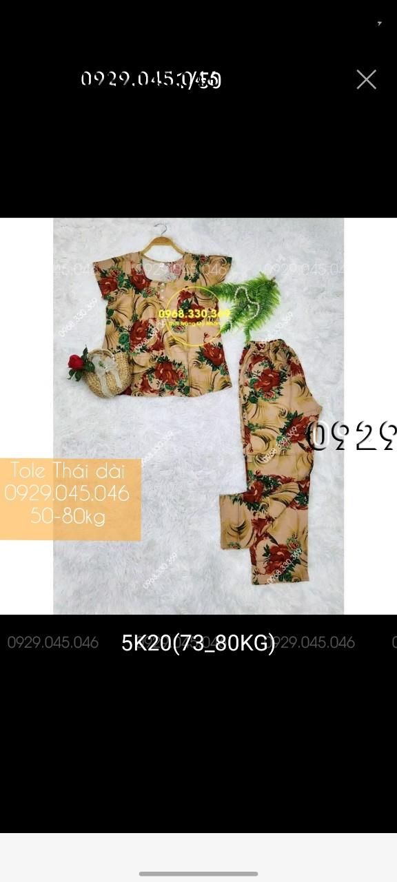 [50-80kg] Đồ bộ trung niên tole thái quần dài cao cấp - PN158482