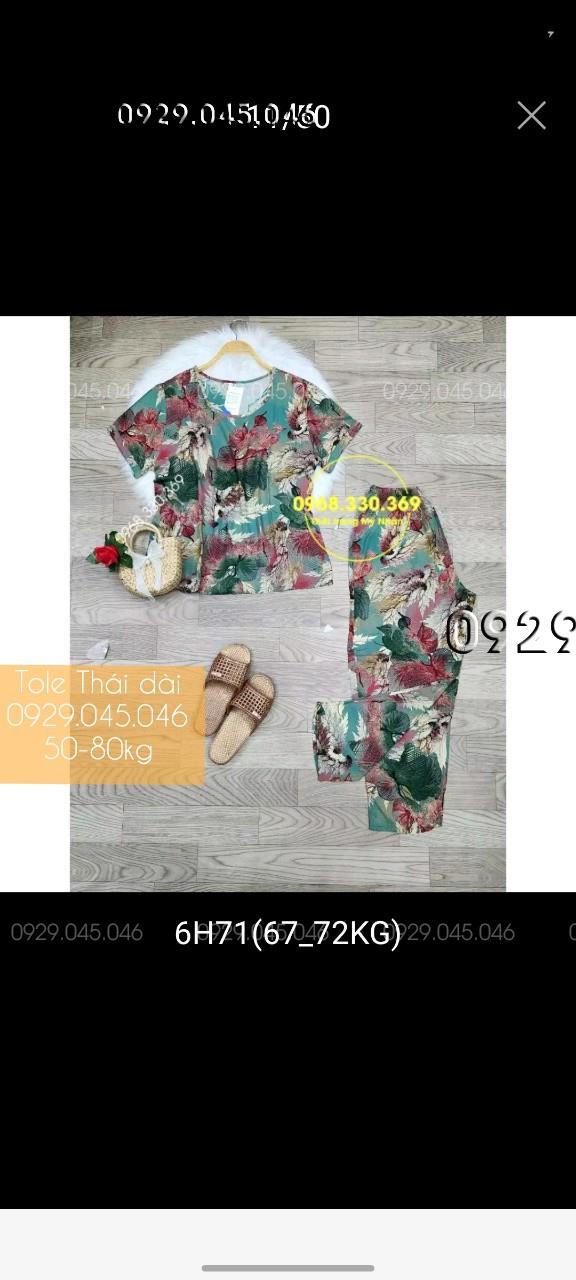 [50-80kg] Đồ bộ trung niên tole thái quần dài cao cấp - PN158482