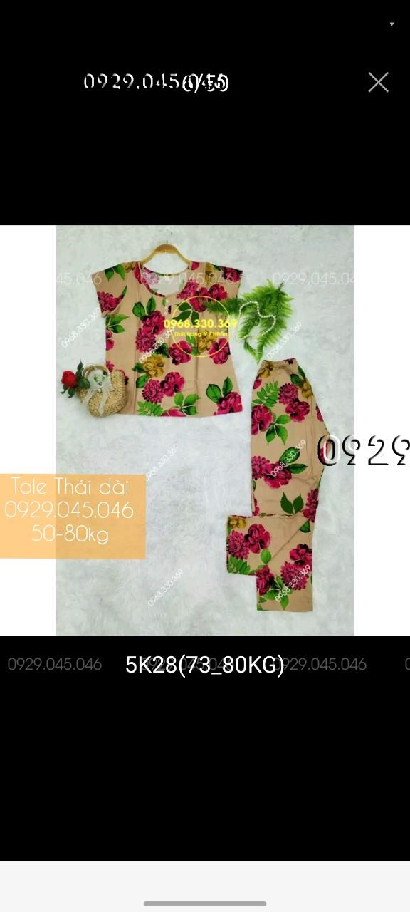 [50-80kg] Đồ bộ trung niên tole thái quần dài cao cấp - PN158482