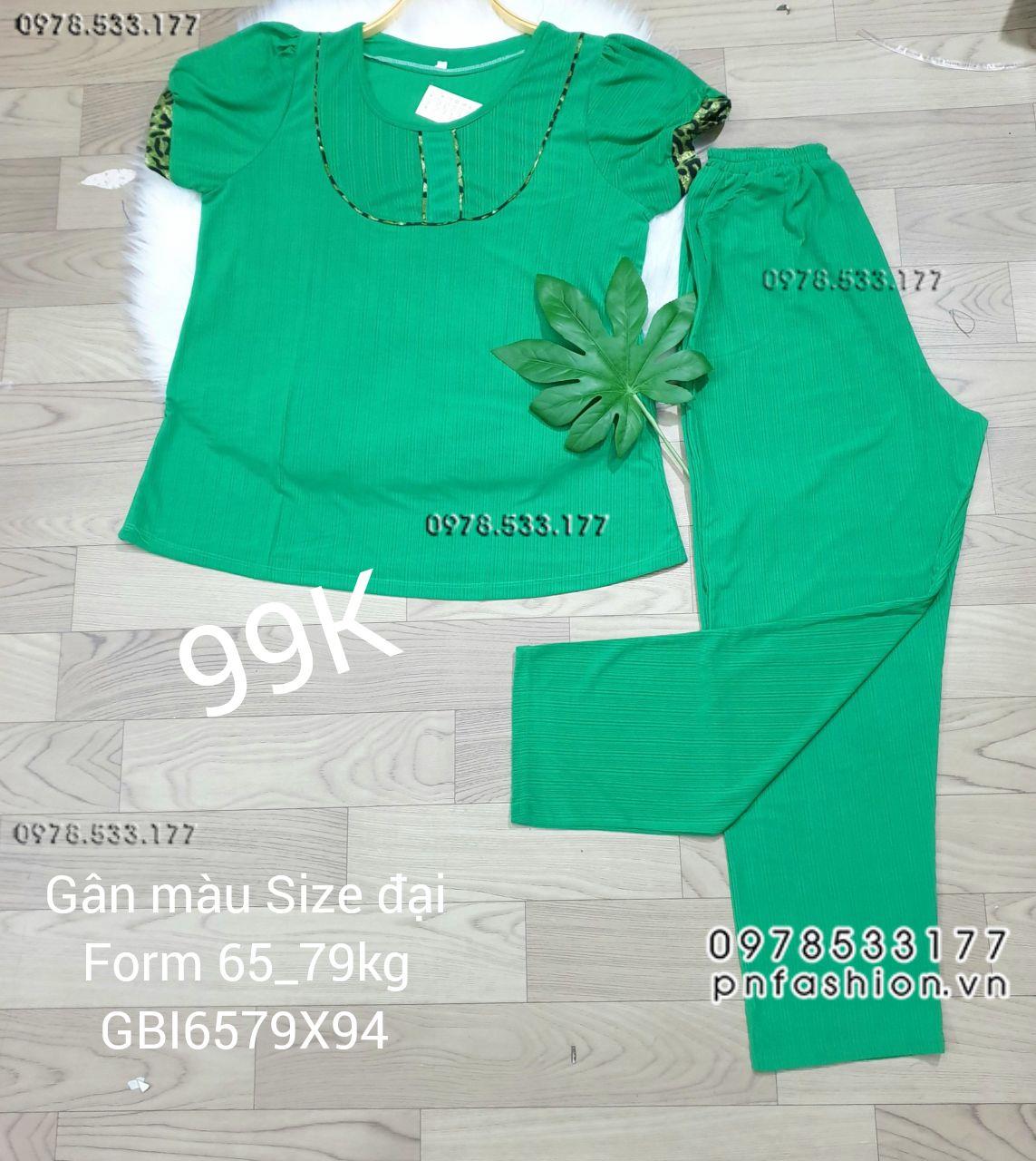 [65-79kg] Đồ bộ trung niên gân màu quần dài size đại - GBI6579X94