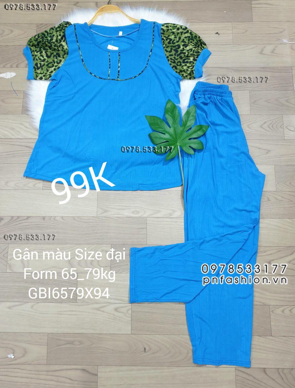 [65-79kg] Đồ bộ trung niên gân màu quần dài size đại - GBI6579X94