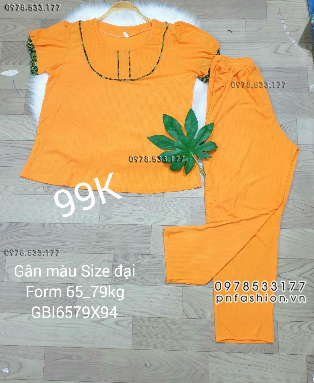 [65-79kg] Đồ bộ trung niên gân màu quần dài size đại - GBI6579X94