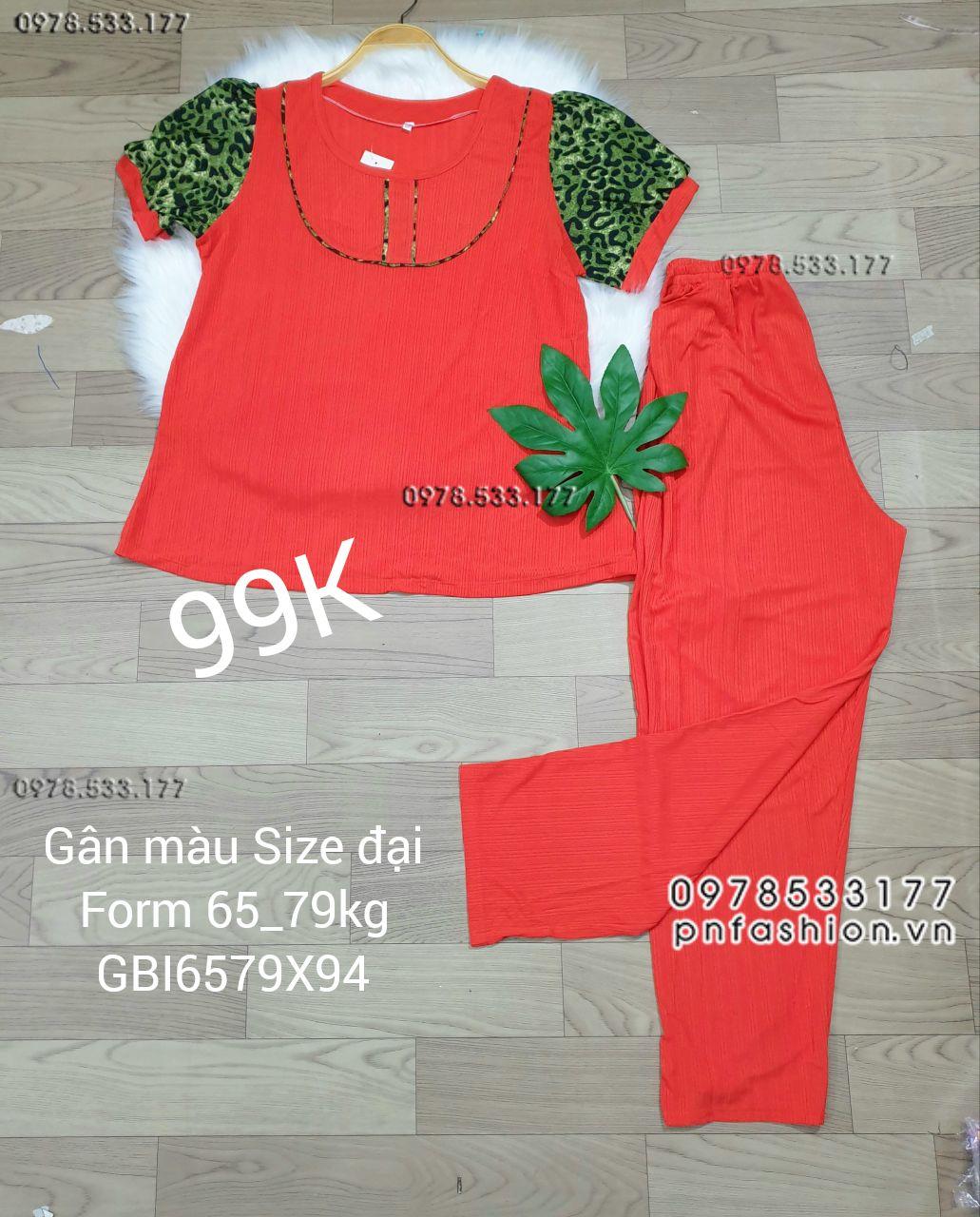 [65-79kg] Đồ bộ trung niên gân màu quần dài size đại - GBI6579X94