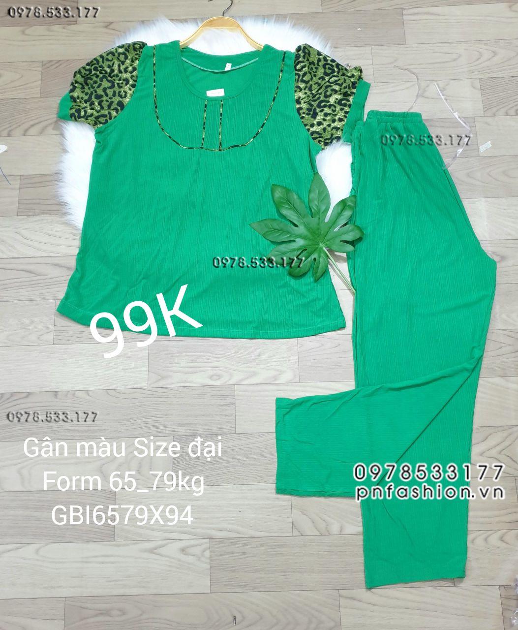 [65-79kg] Đồ bộ trung niên gân màu quần dài size đại - GBI6579X94