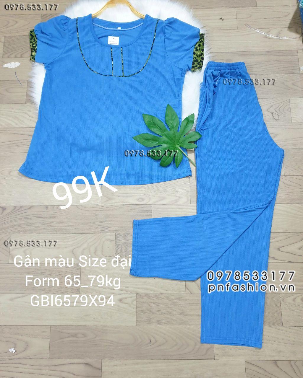 [65-79kg] Đồ bộ trung niên gân màu quần dài size đại - GBI6579X94