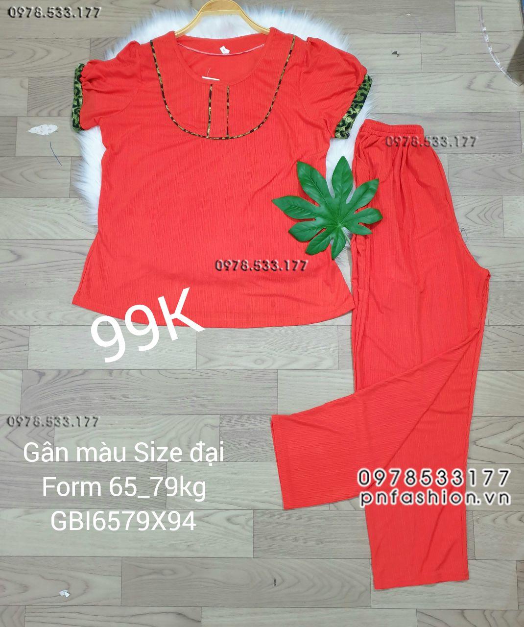 [65-79kg] Đồ bộ trung niên gân màu quần dài size đại - GBI6579X94