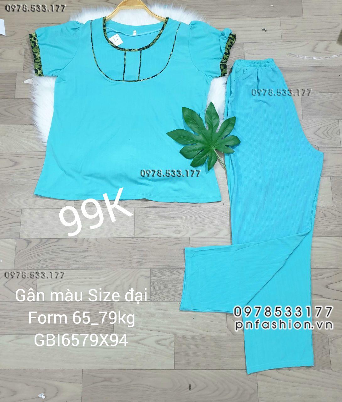 [65-79kg] Đồ bộ trung niên gân màu quần dài size đại - GBI6579X94