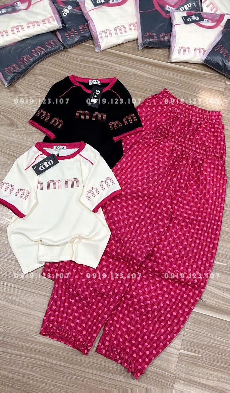 Set tt tăm lạnh in đẹp + phối viền. Ri 80k- Tách 5b 82k - TH82SBT767