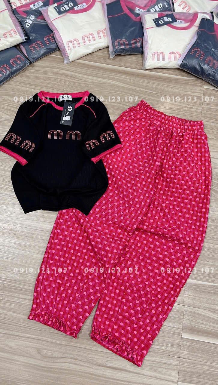 Set tt tăm lạnh in đẹp + phối viền. Ri 80k- Tách 5b 82k - TH82SBT767