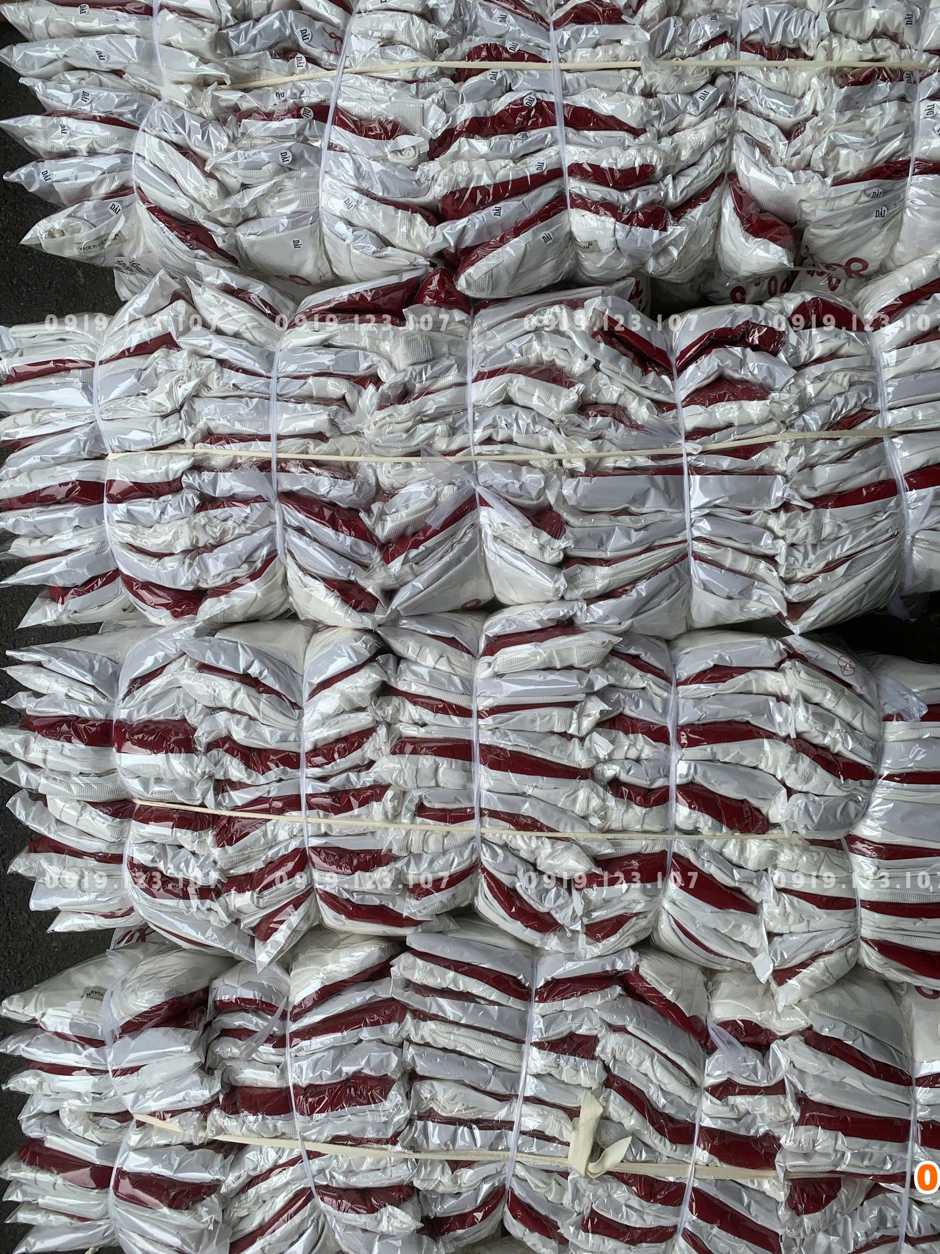 Set tt tăm lạnh phom to in đẹp + quần suông - SBT757