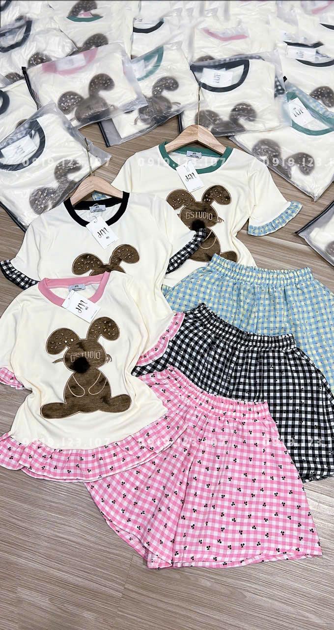 Set tt tăm lạnh phom to thêu xịn  Ri 70k - Tách 5b 72k - THU771