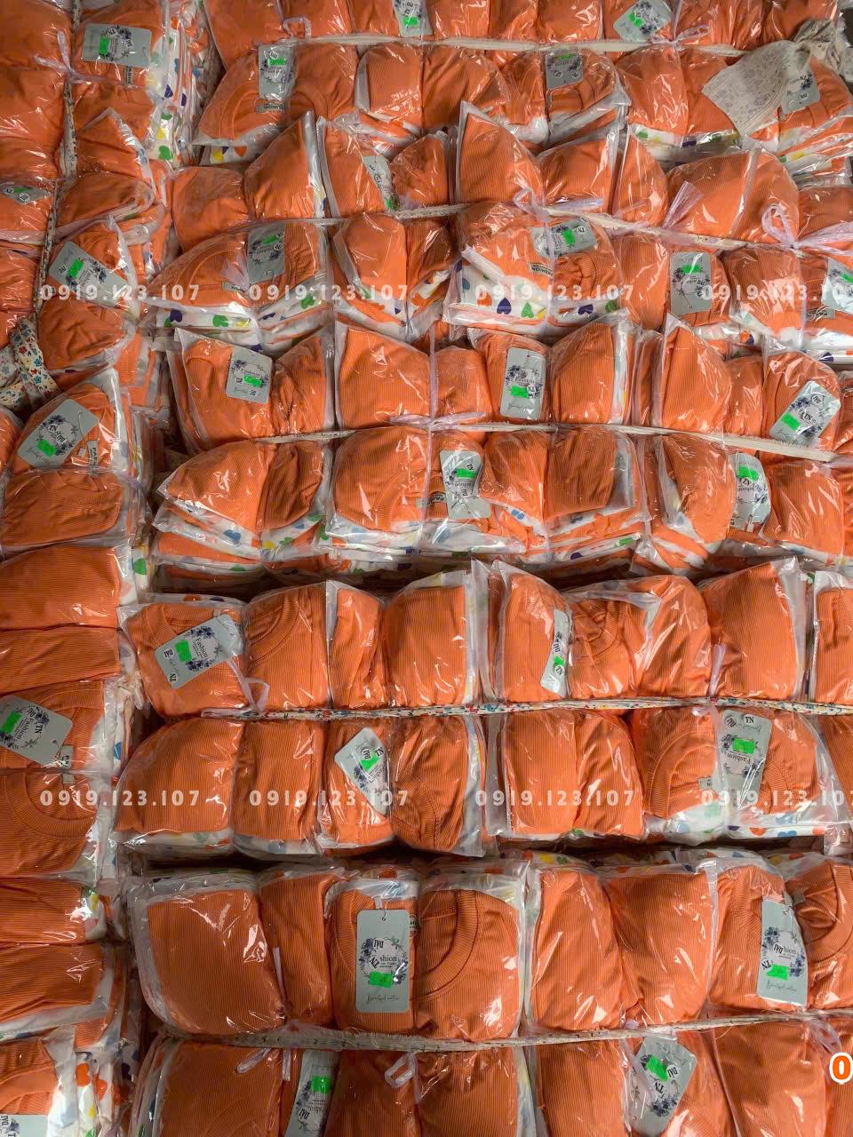 Set tt tăm lạnh + quần đủi baggy in full phối ren siêu phẩm - TH82SBT766